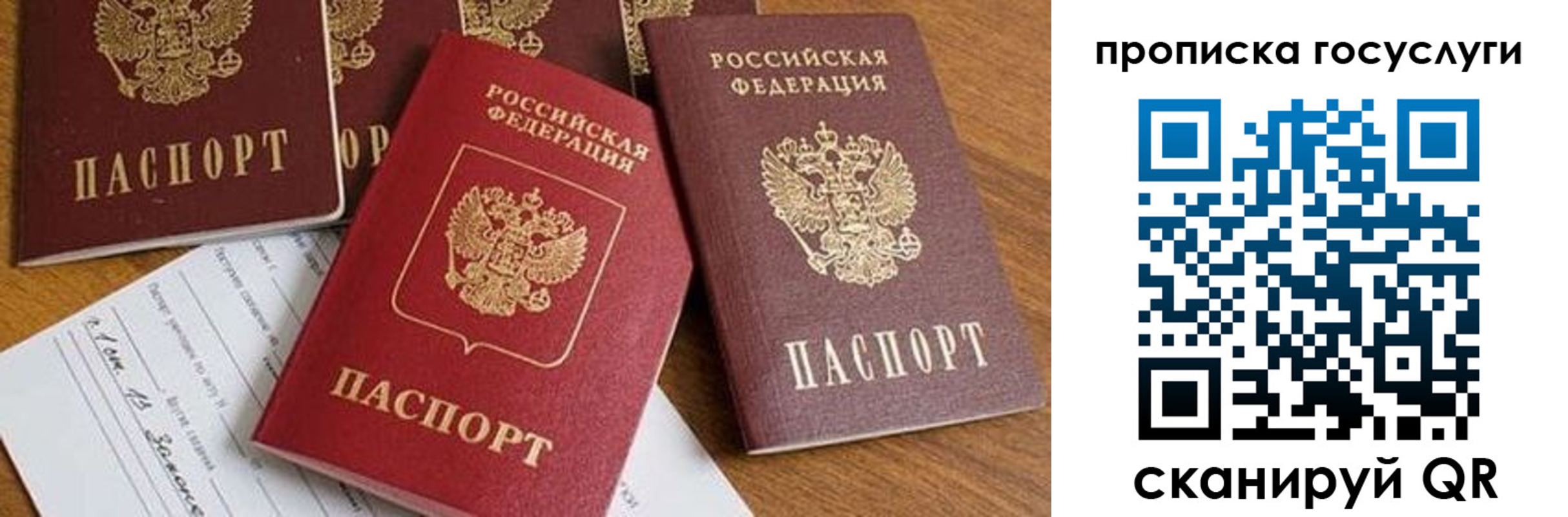 прописка ребенка в Краснозаводске